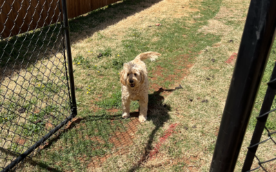 How to Tell You’re Hiring the Best Fence Company in OKC