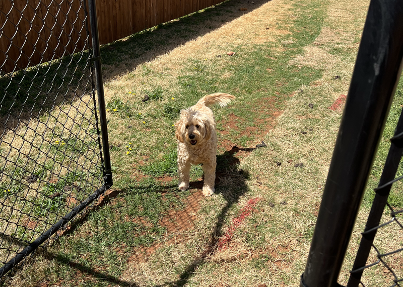 How to Tell You’re Hiring the Best Fence Company in OKC