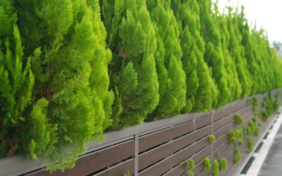 Smart Ways to Finance Your New Fence in Oklahoma City