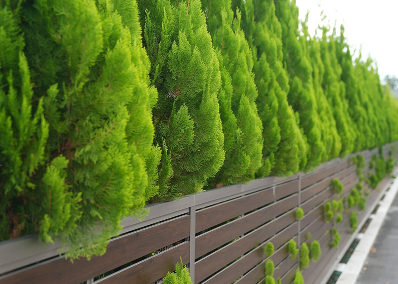 Smart Ways to Finance Your New Fence in Oklahoma City